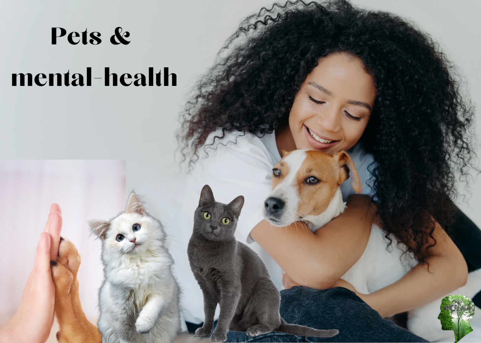 Curated visual reference: Picture Idea: How Can A Pet Benefit My Mental Health