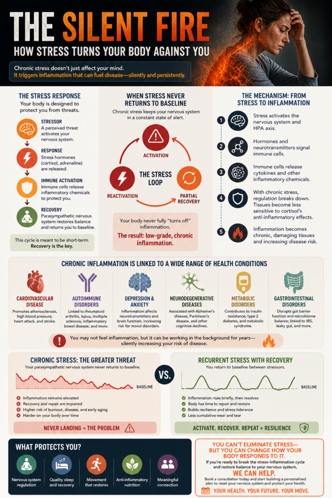 Infographic showing how chronic stress leads to inflammation in the body, outlining the stress response cycle, the impact of never returning to baseline, and links to conditions like heart disease, autoimmune disorders, depression, and digestive issues, with emphasis on nervous system regulation and recovery